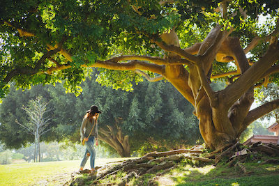 Student on green campus