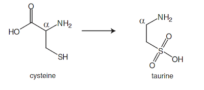 Structure of cysteine